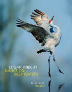 Dance On Deep Waters Standard