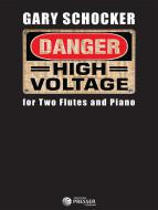 Danger: High Voltage 