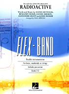 Radioactive Standard