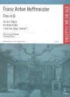 Trio D-Dur Gallina 