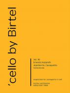 Apanhei-te, Cavaquinho 