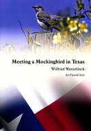 Meeting a Mockingbird in Texas 
