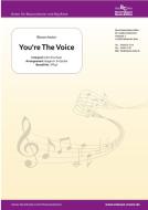 You're The Voice 