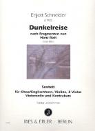 Dunkelreise 