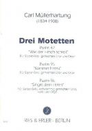 Drei Motetten 