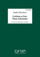 Gulistan-E Nur (The Rosegarden Of Light): Three Interludes (2015) 