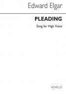 Pleading 