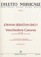 Verschiedene Canones 