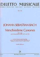 Verschiedene Canones 