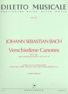 Verschiedene Canones 