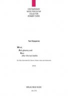 Wind, Ash gloomy and Rain after the last Battle 