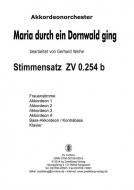 Maria durch ein Dornwald ging 