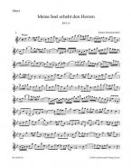 Meine Seel erhebt den Herren 