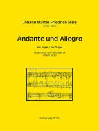 Andante und Allegro 