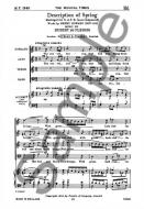 Description Of Spring 