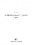 Havet Stær Sæ Blankt Og Stille 