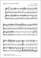 Più non si trovano Standard