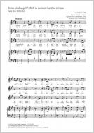 Some kind angel (Mich in meinem Leid zu trösten) 