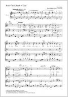 Jesus Christ, lamb of God Standard