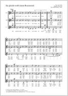 Sie gleicht wohl einem Rosenstock Standard