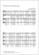 Weißt du, wieviel Sternlein stehen Standard