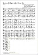Komm, Heiliger Geist, Herre Gott Standard