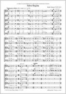 Salve Regina Standard