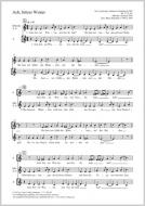 Ach, bittrer Winter Standard