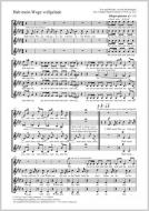 Hab mein Wage vollgelade Standard