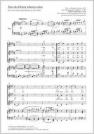 Den die Hirten lobeten sehre Standard