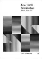 Panis angelicus FWV 61 