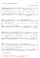 Wer dir singt, der wird dich finden 