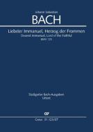 Liebster Immanuel, Herzog der Frommen 