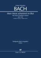 Mein Herze schwimmt im Blut 