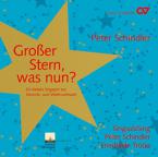 Großer Stern, was nun? 