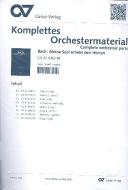 Meine Seel erhebt den Herren Download
