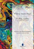 Vedrai, carino Standard