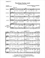 Tenebrae factae sunt 