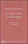 Lo, How a Rose e'er Blooming 