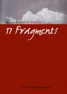 17 Fragments 