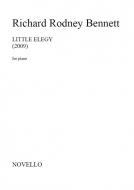 Little Elegy 