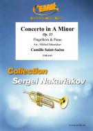 Concerto in A Minor Download