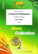 A Sheaf Of Miniatures Download