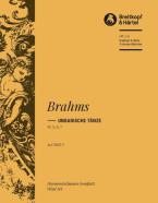 Ungarische Tänze 2: Nr. 5, 6, 7 aus WoO1 