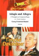 Adagio & Allegro Download
