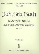 Geist und Seele wird verwirret 