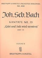 Geist und Seele wird verwirret 