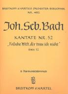 Falsche Welt, dir trau ich nicht 