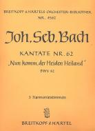 Nun komm, der Heiden Heiland 