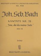 Jesu, der du meine Seele 
